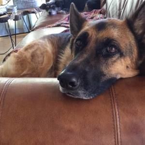 Meet your Posher, Regina